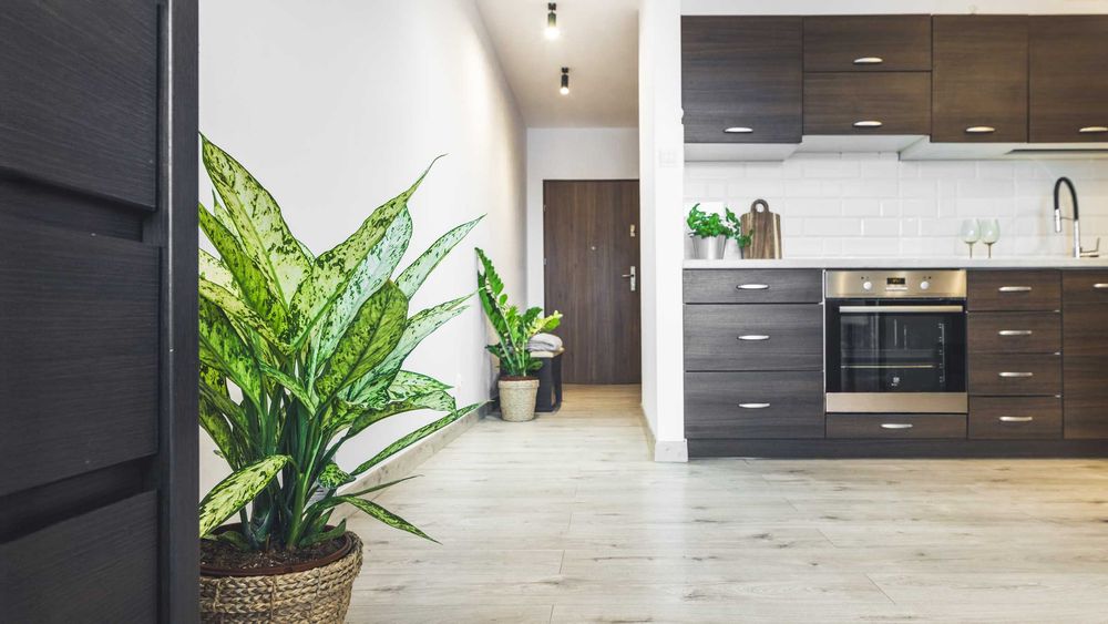 Nowoczesna kawalerka 35 m² Wrocław Wojnów-Strachocin z dużym balkonem dostępna od 01.08.26. - Widok 5