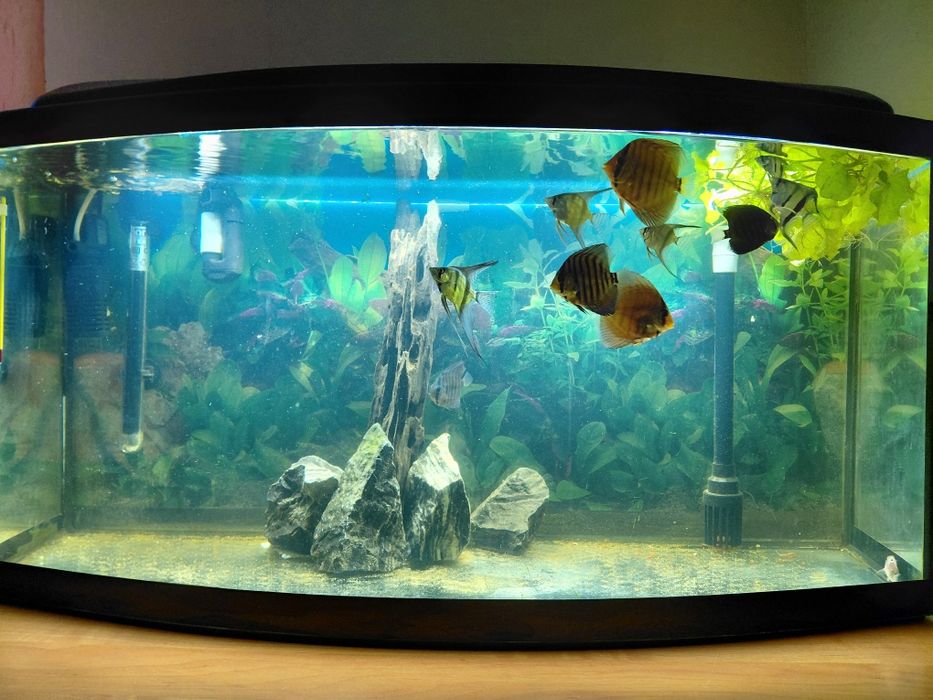 Sprzedam akwarium 112 .