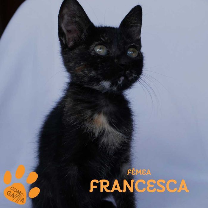 Francesca procura uma família responsável e cheia de amor!