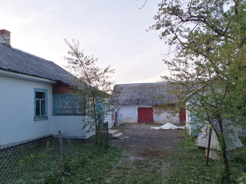 Продам будинок в селі Витків