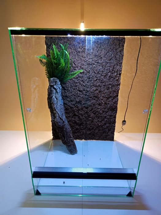 terrarium 40/40/60 z oświetleniem led i ścianką z korka