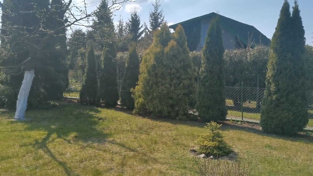 Sprzedam działkę ROD
