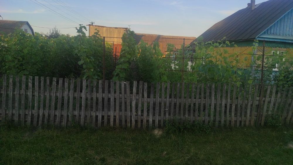 Продається будинок в с. Білокоровичі — 35 соток землі, плодовий сад