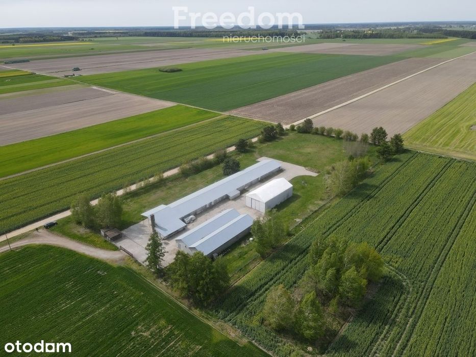 Kompleks budynków komercyjnych - działka 1,1872 ha