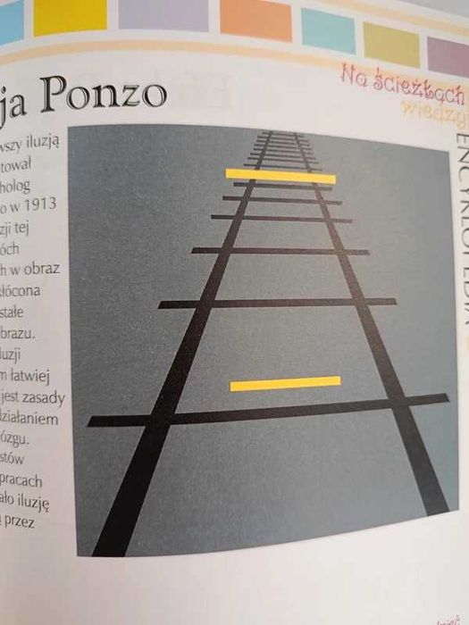 100 złudzeń optycznych