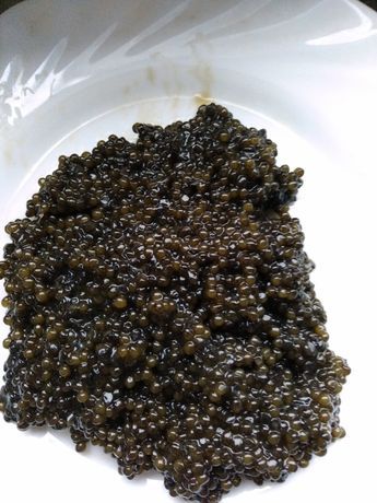 НАСТОЯЩАЯ КРАСНАЯ ИКРА: кета, горбуша,чавыча,нерка,кижуч,форель; голец