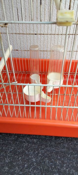 Gaiola com 55 cm altura para aves de porte médio