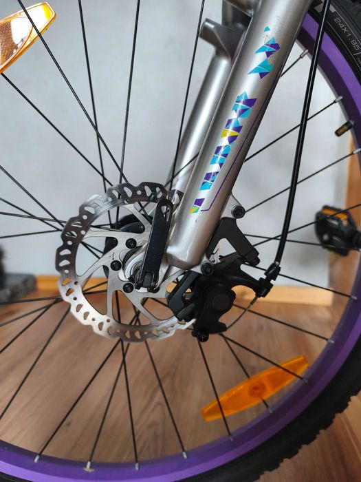 Rower Giant Live Enacht 24