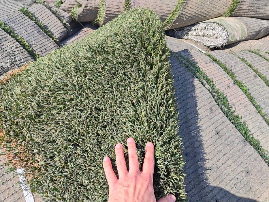 Sztuczna trawa używana na, boisko, orlik, ogród, plac zabaw