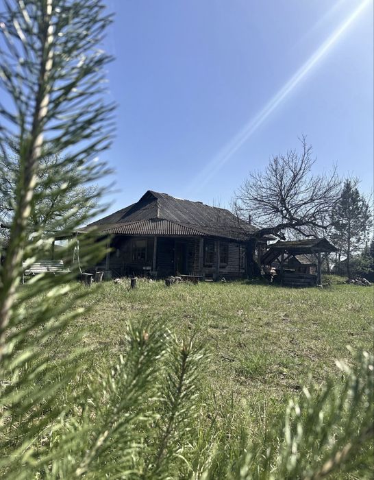 Казковий будинок с. Прохорів