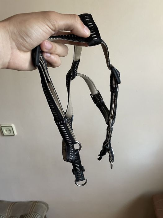 Нагрудник для собаки