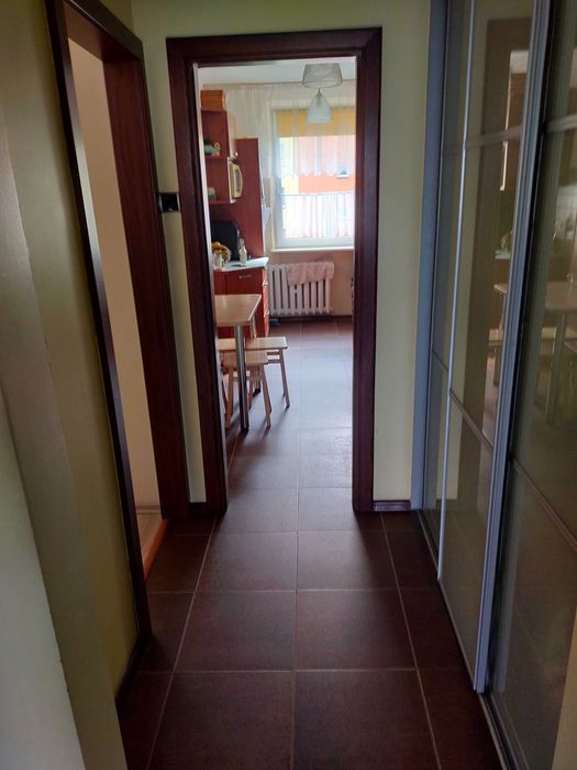Zdjęcie 3