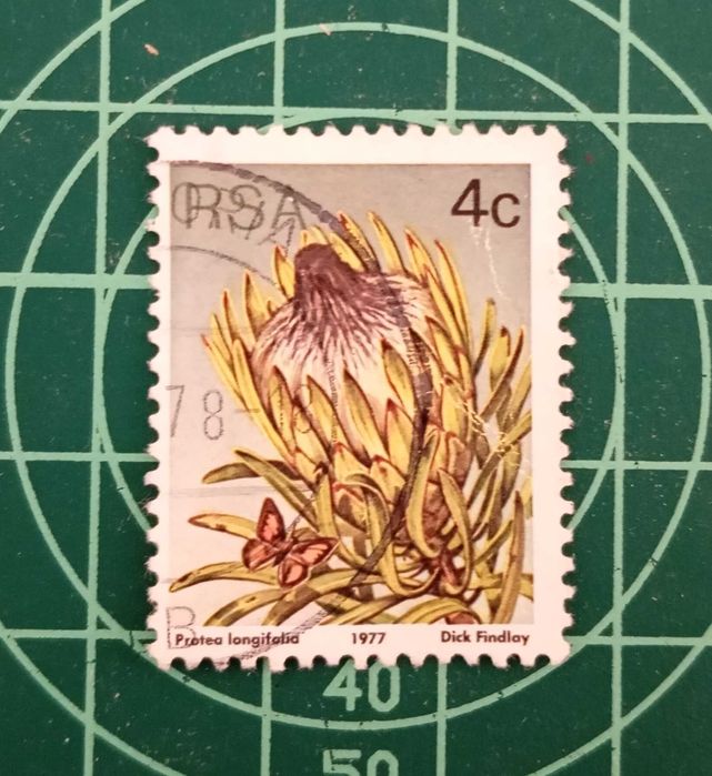 SELOS - ÁFRICA DO SUL 1 - 1977 - Flora - Plantas Protea