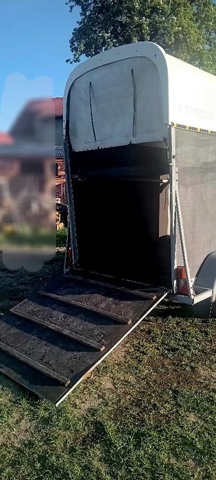 Przyczepa do przewozu koni