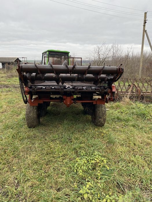 Роу 6 доглянутий