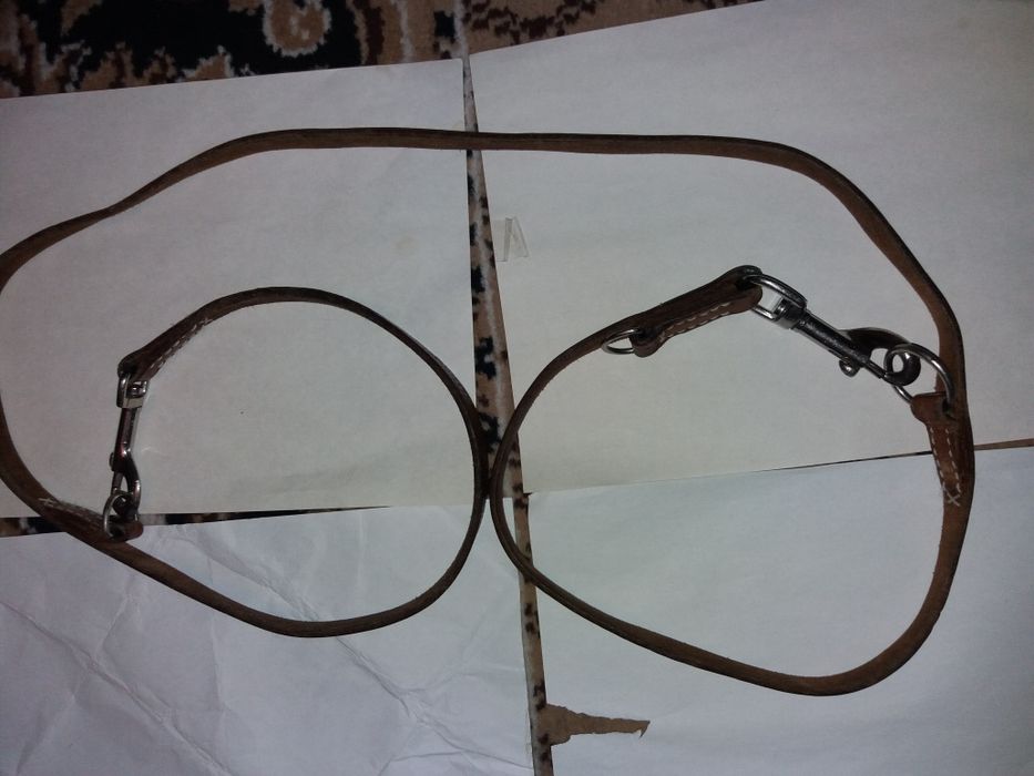 Поводок для пса