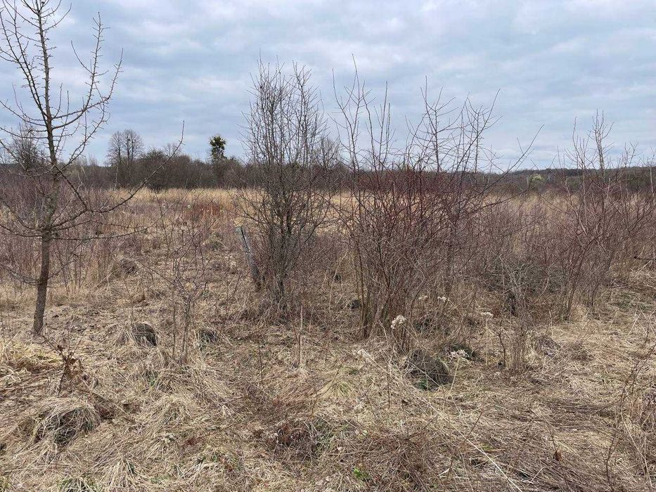 Продаж земельної ділянки с.Діброви, під забудову - View 2
