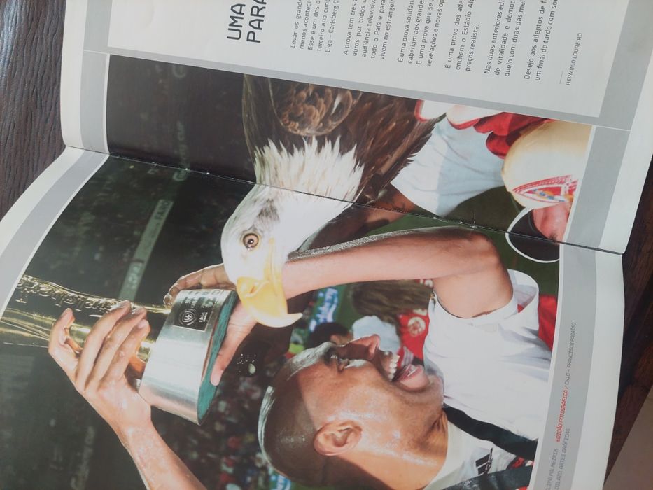 Revista final Carlsberg Cup 2010