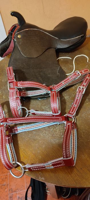 Недоуздок розм. Х красный продаж коровам быкам голштинской породы