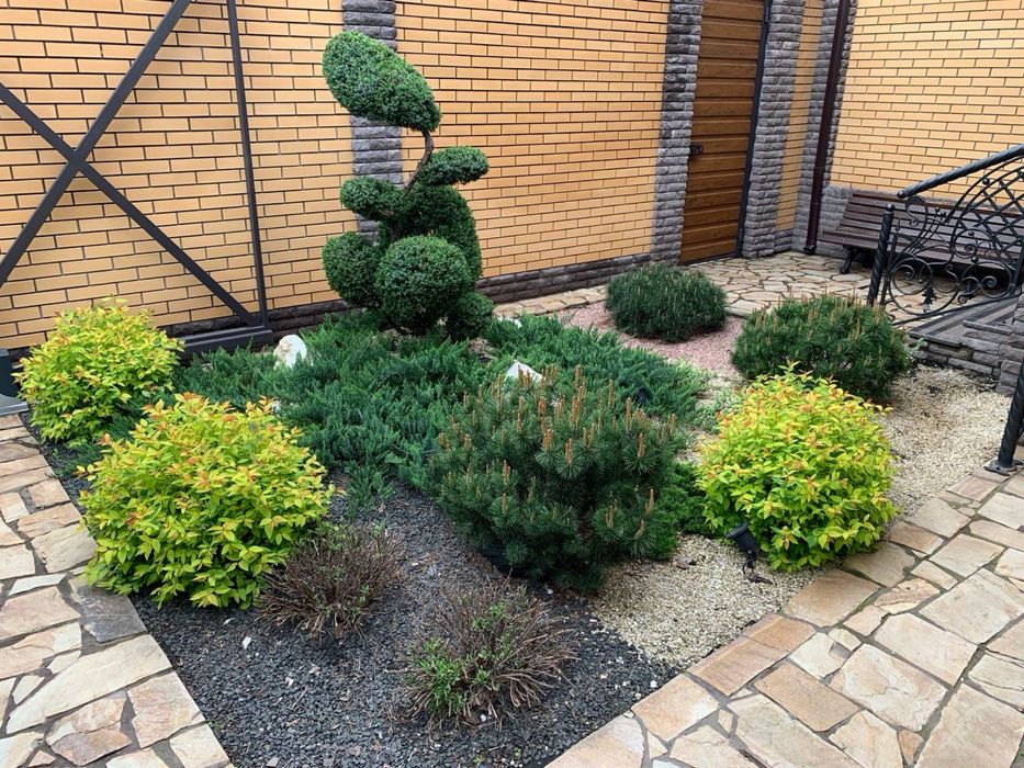 Автополив. Газон. Благоустрій