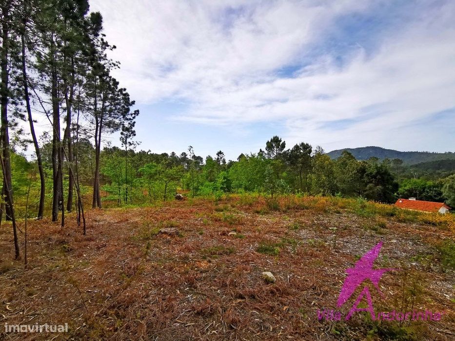 Terreno em Nogueira com vista desafogada