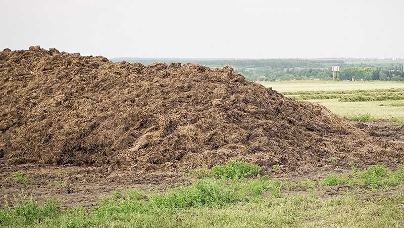 Добриво органічне.коровячий гній.