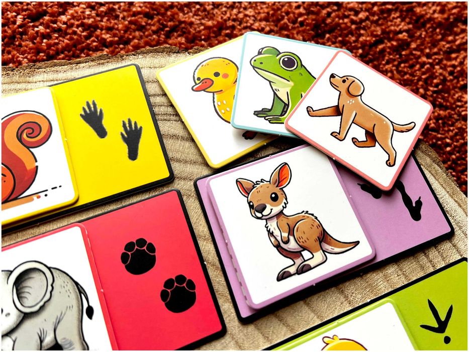 Pegadas dos Animais - Montessori