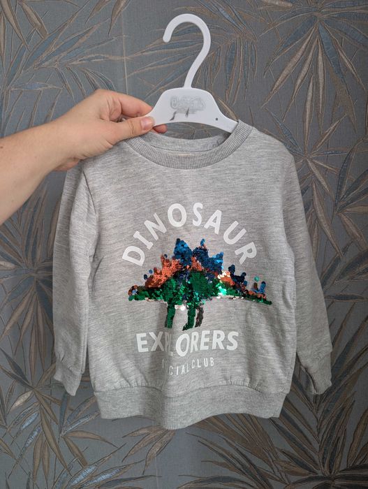 Світшот реглан кофта на флісі для хлопчика Silversun  Некст,  92 см