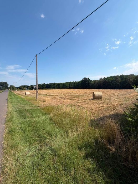Pole na sprzedaż ! (16.390 m2)