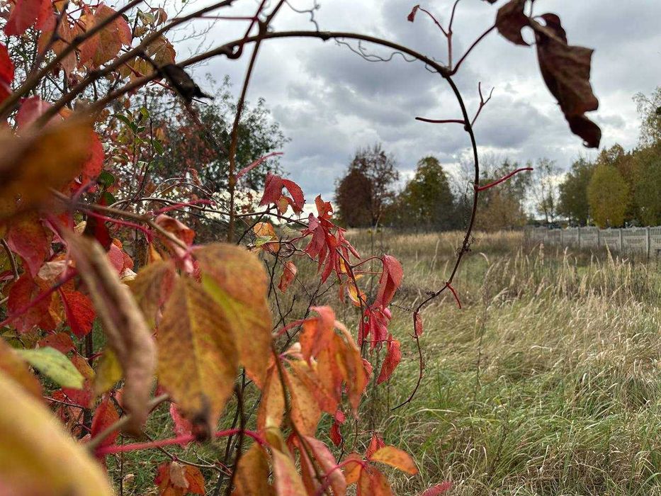 Продаж 25 соток з електрикою вул. Шевченка