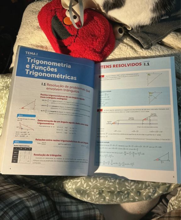 Livro de preparação para testes de matemática A - 11 ano
