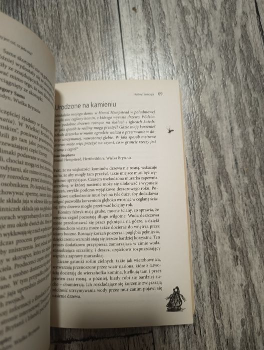 Czy jest coś co jada osy