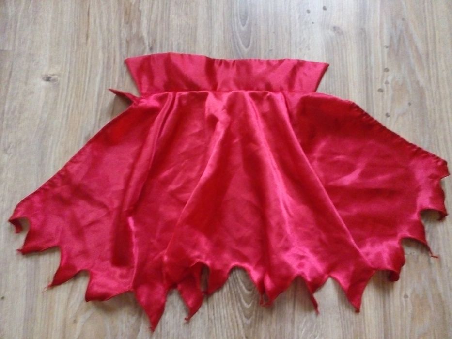 Ubranka dla psa lub kota