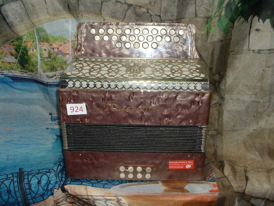 Concertina para venda N, 924