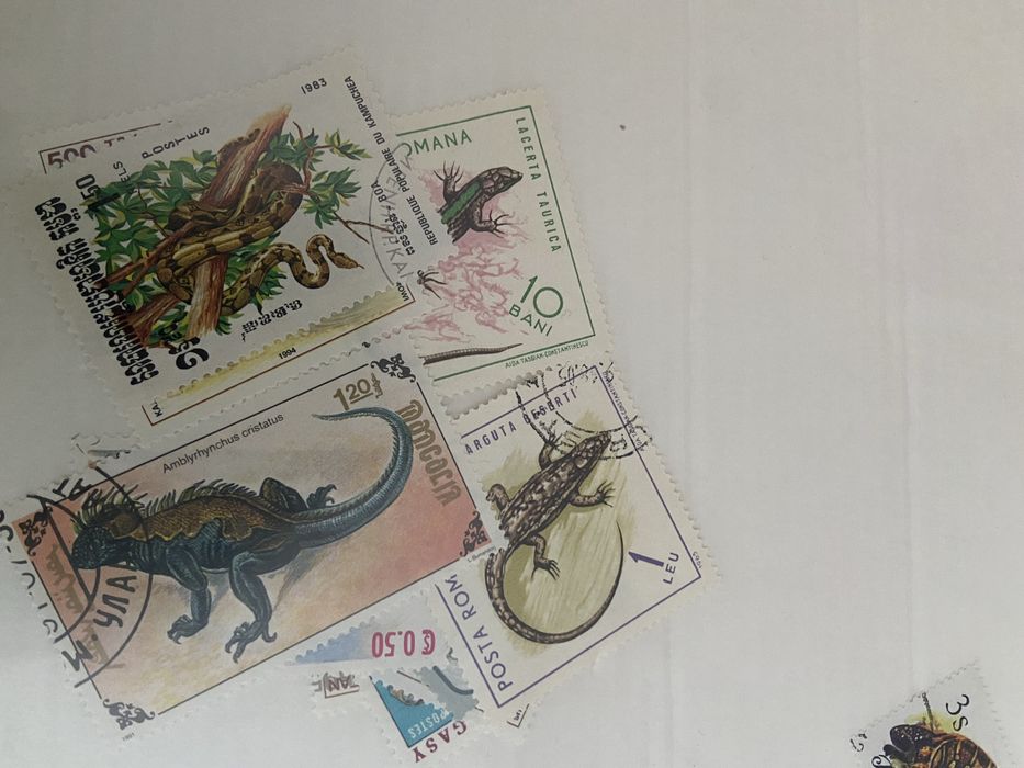 25 selos de Crocodilos