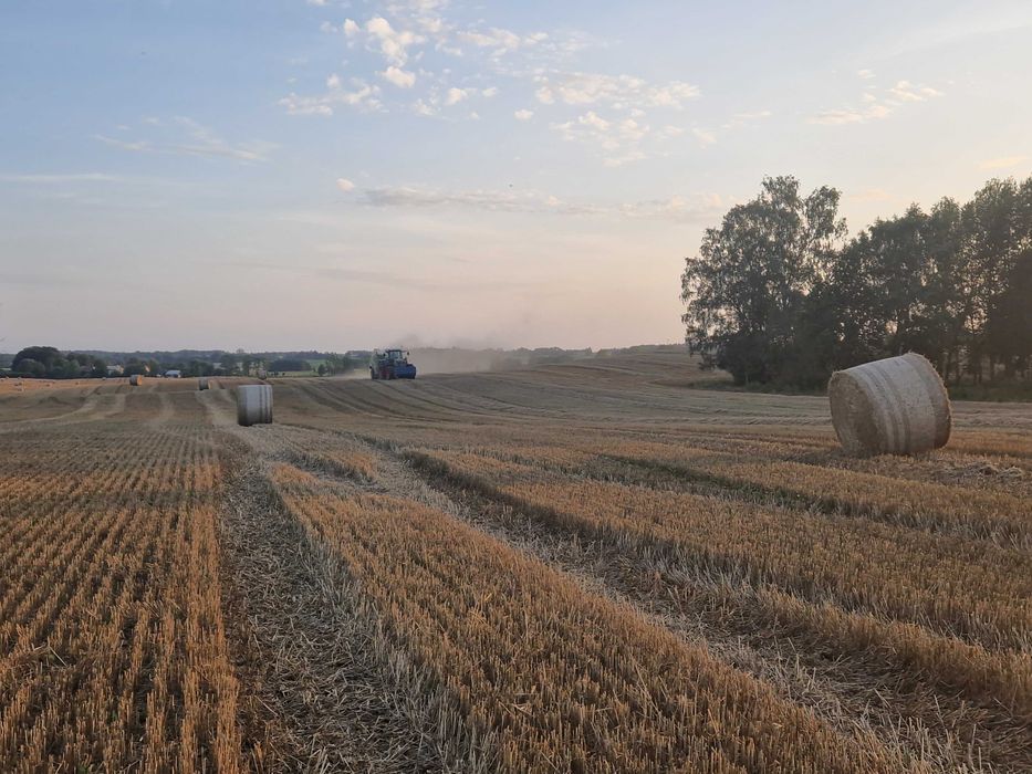 Słoma paszowa jęczmienna owsiana duża kostka bele transport