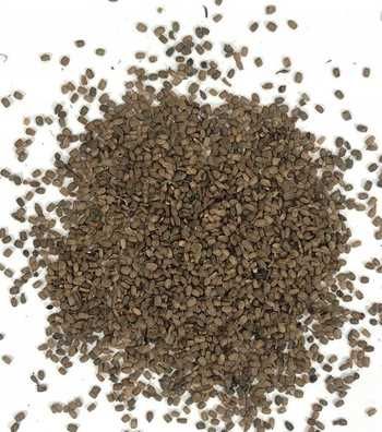 Ładne nasiona seradeli 1 kg