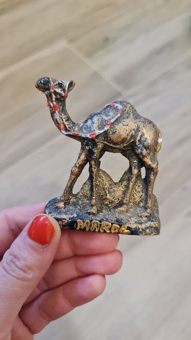 Magnes Maroko wielbłąd