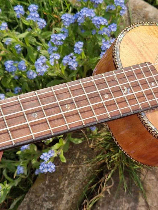 Укулеле PARKSONS в ідеальному стані