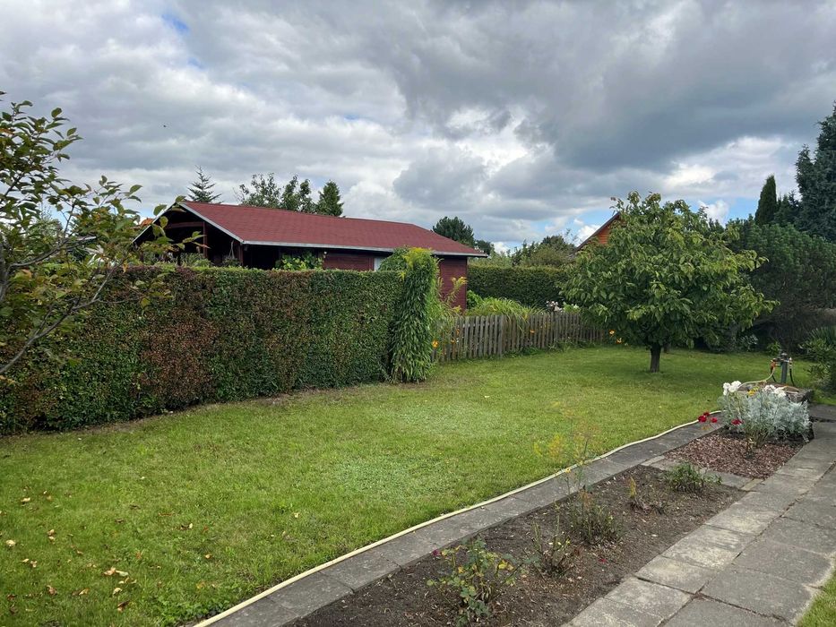 Działka ogrodnicza ROD Kotwica - Babie Doły, Gdynia