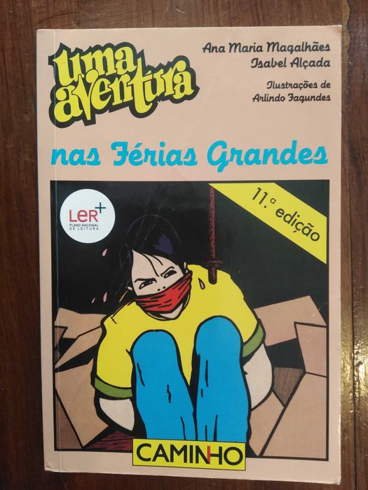 Uma aventura nas férias grandes