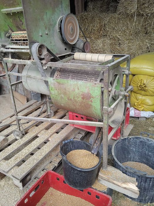 Sprzedam pszenicę