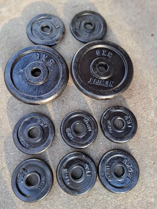 Banco de ginásio e muitos pesos