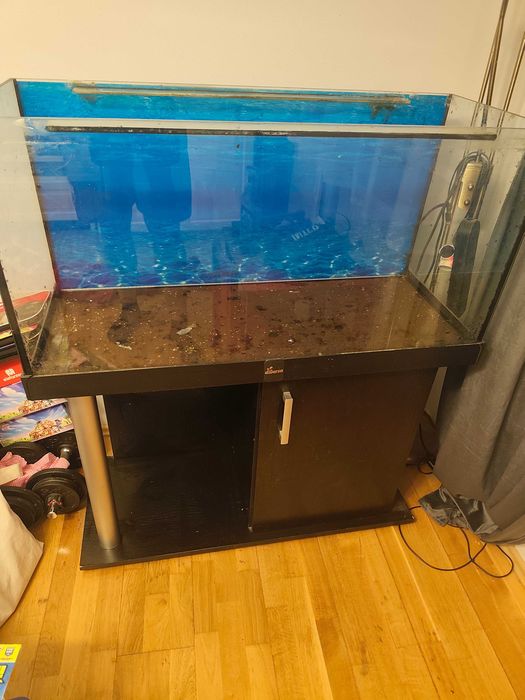 Akwarium 200 l z szafką diversa