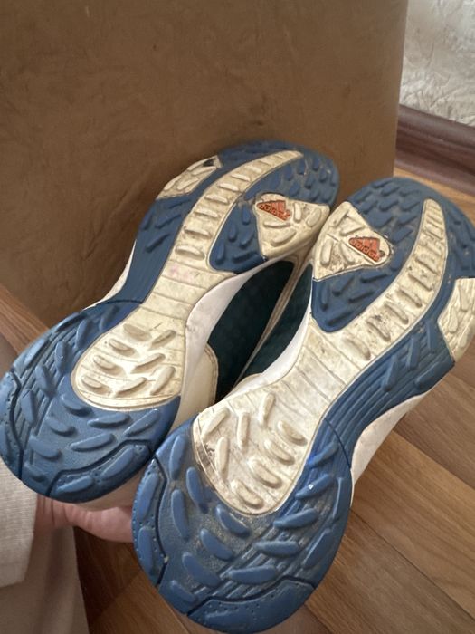 Продам сороконіжки 35 р