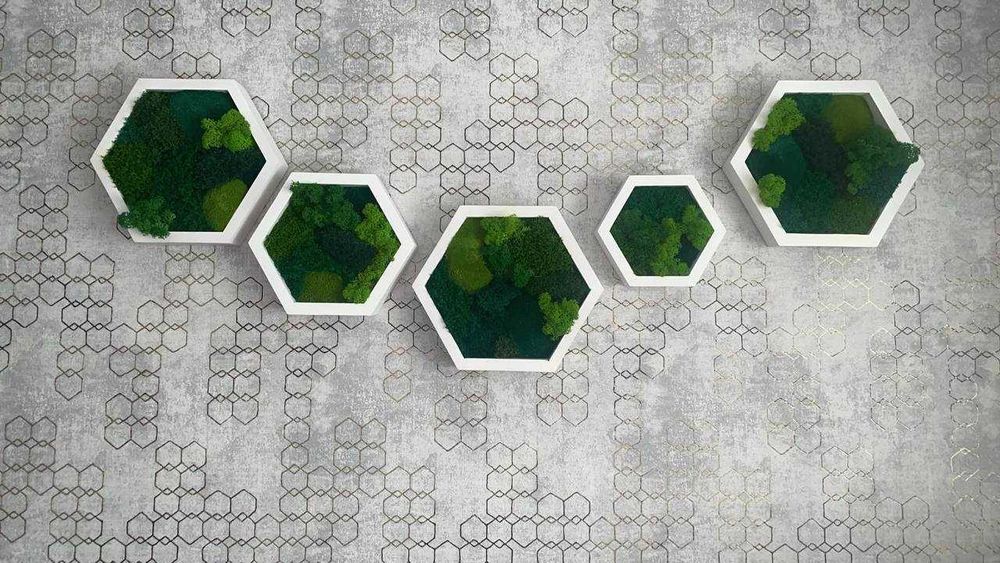 Мох у сотах, соти з мохом,декор з моху, стабілізований мох. ЗНИЖКИ!!!