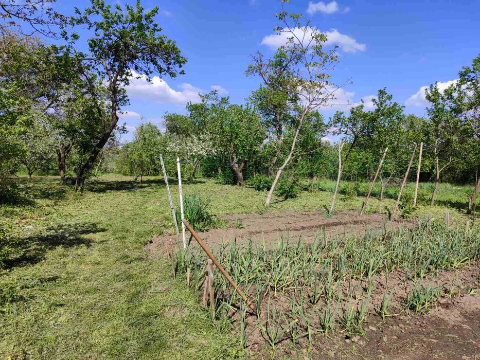 (3) Продам будинок в с. Іванівка Вінницький район 0925