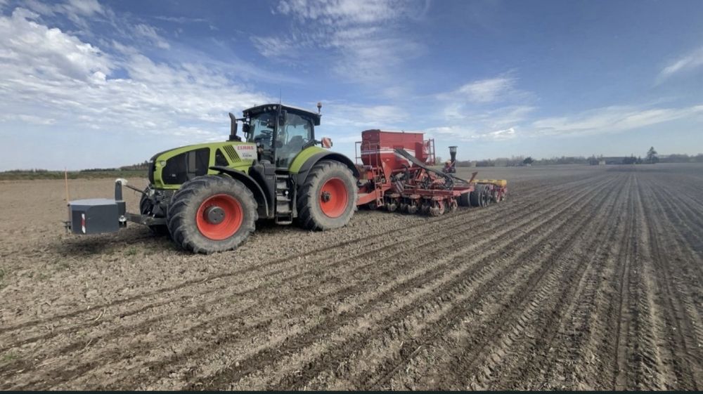 Siew pasowy strip-till Czajkowski Claas