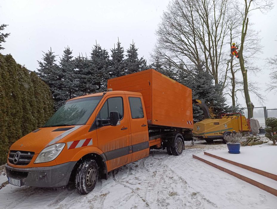 Wycinka drzew ,zrębkowanie , usługi podnośnikiem 27M,Arborystyka