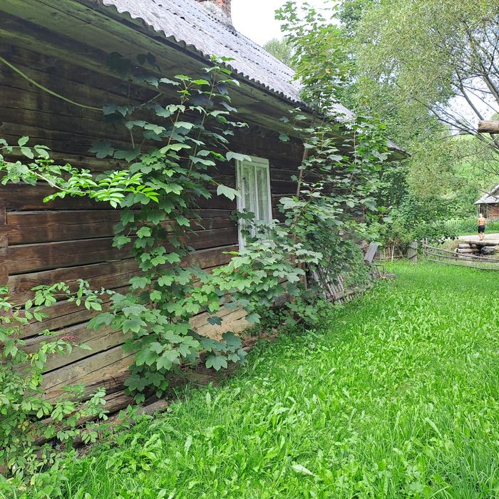 Продам будинок в Міжгірському районі